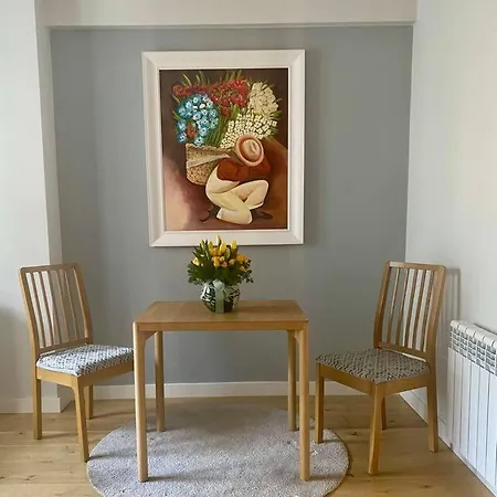 公寓 Piso A Estrenar Entrada Autonoma Garage Wifi 4 Personas *