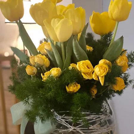 Piso A Estrenar Entrada Autonoma Garage Wifi 4 Personas * 比戈