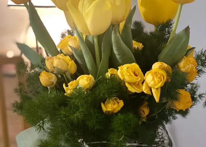 Piso A Estrenar Entrada Autonoma Garage Wifi 4 Personas * 비고